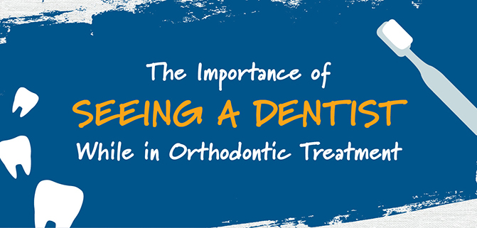 The Importance of Seeing Your Dentist